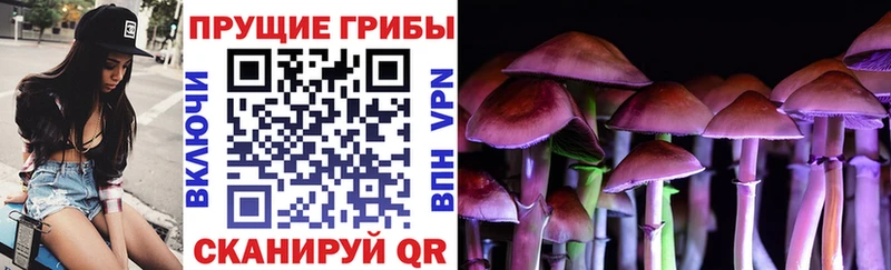 Галлюциногенные грибы мицелий  где купить наркоту  Афипский 